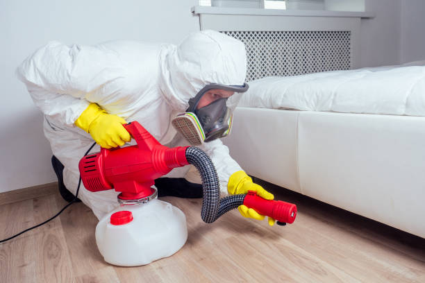 Best Emergency Pest Control  in La Luz, NM