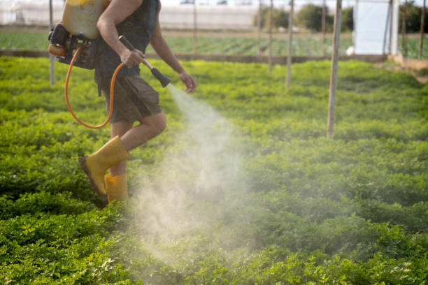 Trusted La Luz, NM Pest Control Experts