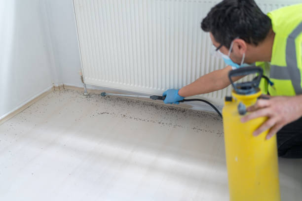 Best Best Pest Control Near Me  in La Luz, NM